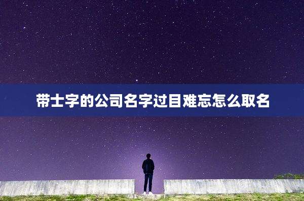 带士字的公司名字过目难忘怎么取名