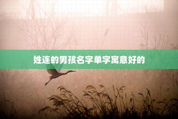 姓连的男孩名字单字寓意好的