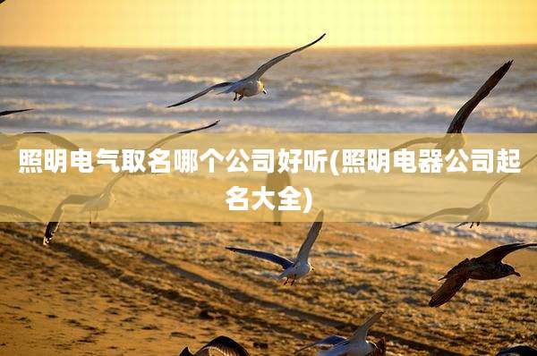 照明电气取名哪个公司好听(照明电器公司起名大全)