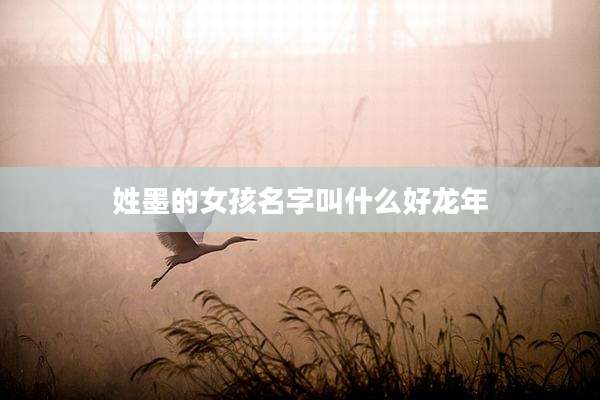 姓墨的女孩名字叫什么好龙年