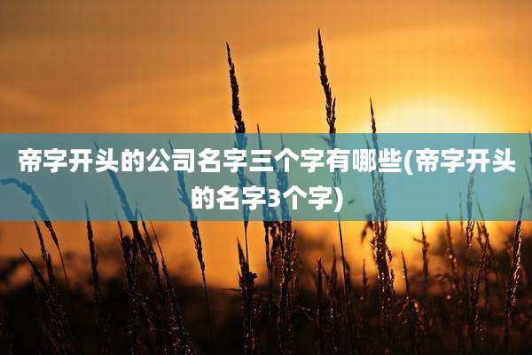 帝字开头的公司名字三个字有哪些(帝字开头的名字3个字)