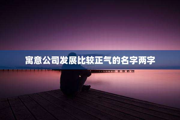 寓意公司发展比较正气的名字两字