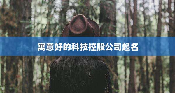 寓意好的科技控股公司起名