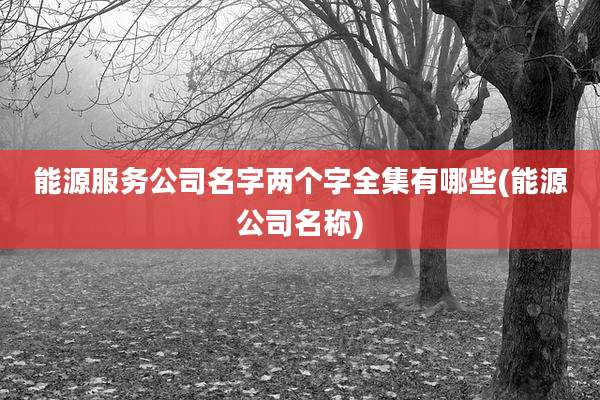 能源服务公司名字两个字全集有哪些(能源公司名称)
