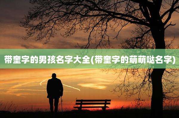 带奎字的男孩名字大全(带奎字的萌萌哒名字)