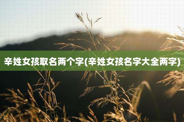 辛姓女孩取名两个字(辛姓女孩名字大全两字)