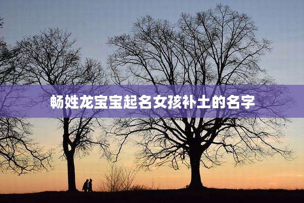 畅姓龙宝宝起名女孩补土的名字
