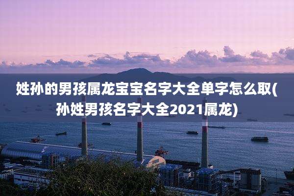 姓孙的男孩属龙宝宝名字大全单字怎么取(孙姓男孩名字大全2021属龙)