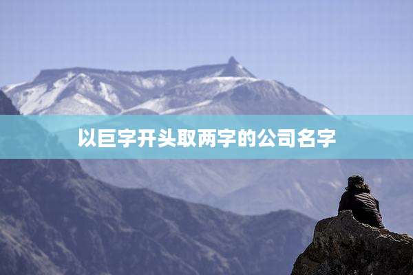 以巨字开头取两字的公司名字