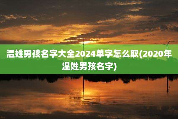 温姓男孩名字大全2024单字怎么取(2020年温姓男孩名字)
