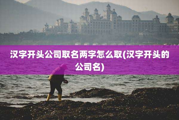 汉字开头公司取名两字怎么取(汉字开头的公司名)