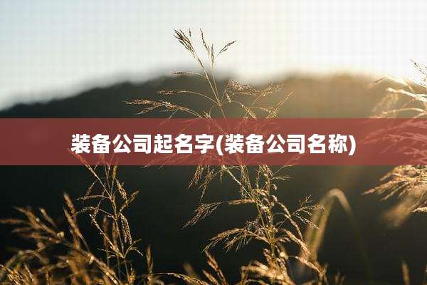 装备公司起名字(装备公司名称)