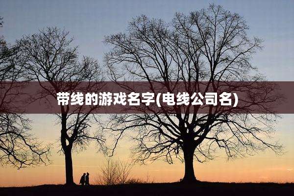带线的游戏名字(电线公司名)