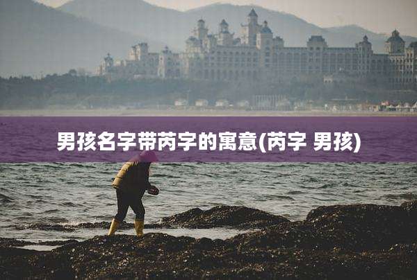 男孩名字带芮字的寓意(芮字 男孩)
