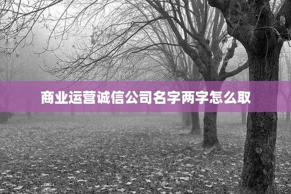 商业运营诚信公司名字两字怎么取