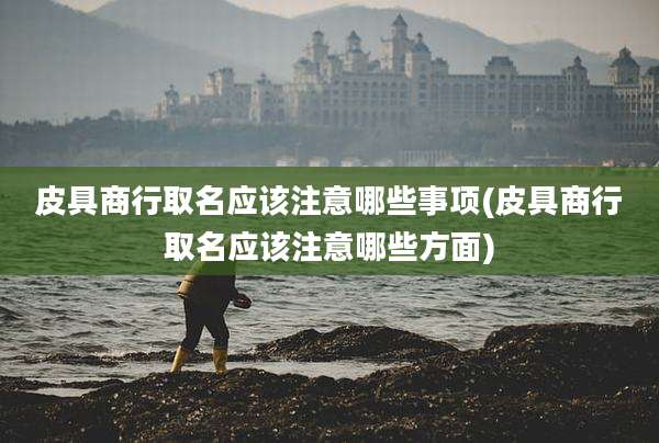 皮具商行取名应该注意哪些事项(皮具商行取名应该注意哪些方面)