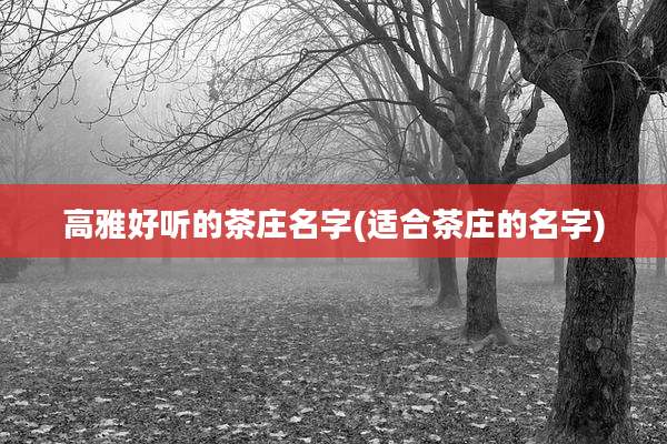 高雅好听的茶庄名字(适合茶庄的名字)