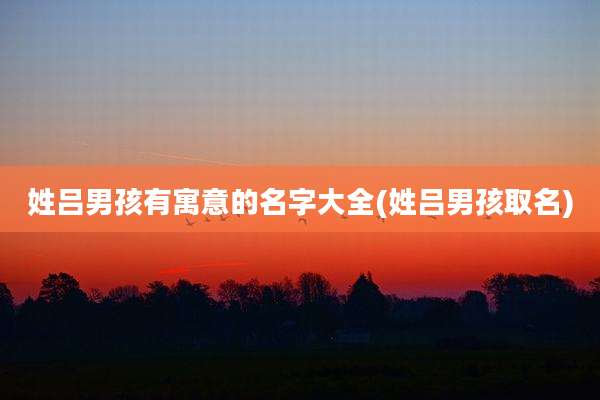 姓吕男孩有寓意的名字大全(姓吕男孩取名)