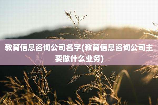 教育信息咨询公司名字(教育信息咨询公司主要做什么业务)
