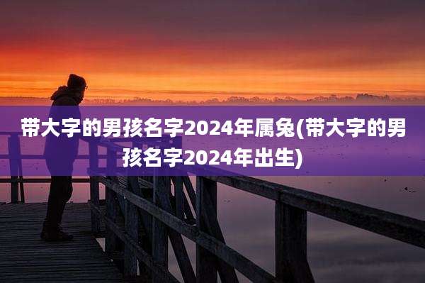 带大字的男孩名字2024年属兔(带大字的男孩名字2024年出生)