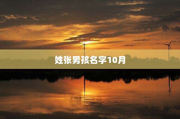 姓张男孩名字10月
