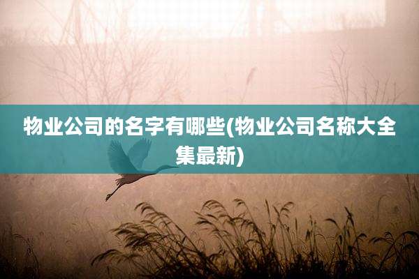 物业公司的名字有哪些(物业公司名称大全集最新)