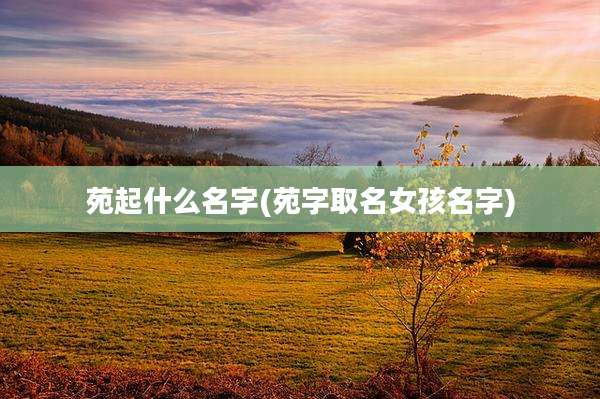 苑起什么名字(苑字取名女孩名字)