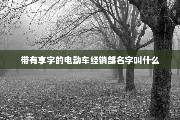 带有享字的电动车经销部名字叫什么