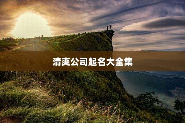 清爽公司起名大全集