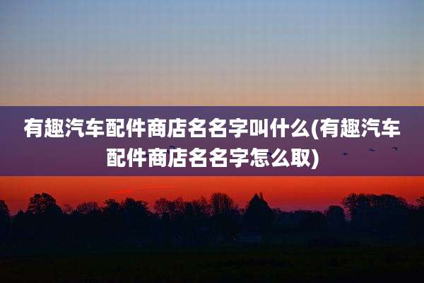 有趣汽车配件商店名名字叫什么(有趣汽车配件商店名名字怎么取)