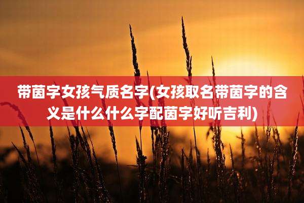 带茵字女孩气质名字(女孩取名带茵字的含义是什么什么字配茵字好听吉利)