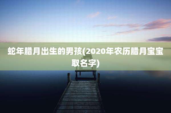 蛇年腊月出生的男孩(2020年农历腊月宝宝取名字)