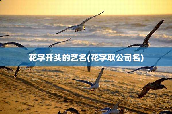 花字开头的艺名(花字取公司名)