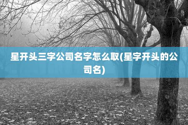 星开头三字公司名字怎么取(星字开头的公司名)