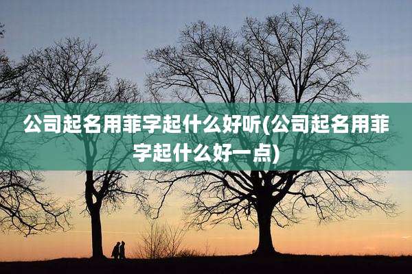 公司起名用菲字起什么好听(公司起名用菲字起什么好一点)