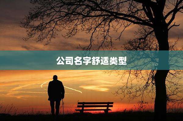 公司名字舒适类型