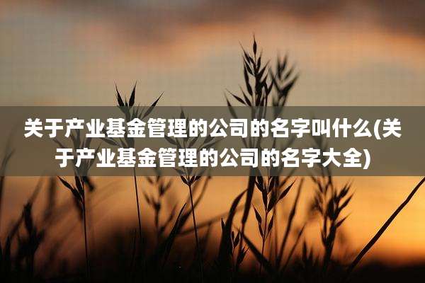 关于产业基金管理的公司的名字叫什么(关于产业基金管理的公司的名字大全)