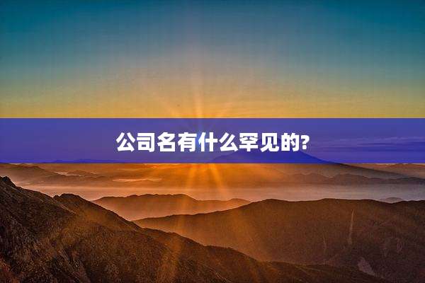 公司名有什么罕见的?