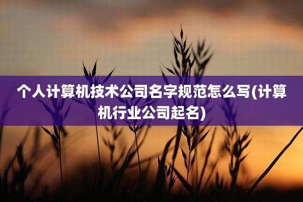 个人计算机技术公司名字规范怎么写(计算机行业公司起名)