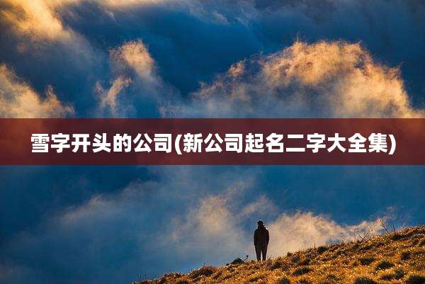 雪字开头的公司(新公司起名二字大全集)