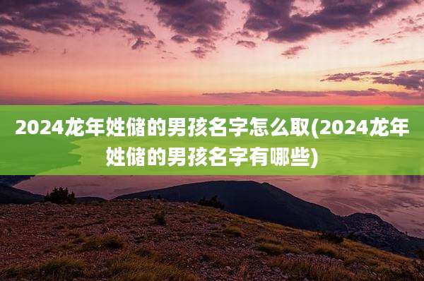 2024龙年姓储的男孩名字怎么取(2024龙年姓储的男孩名字有哪些)
