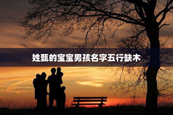 姓甄的宝宝男孩名字五行缺木