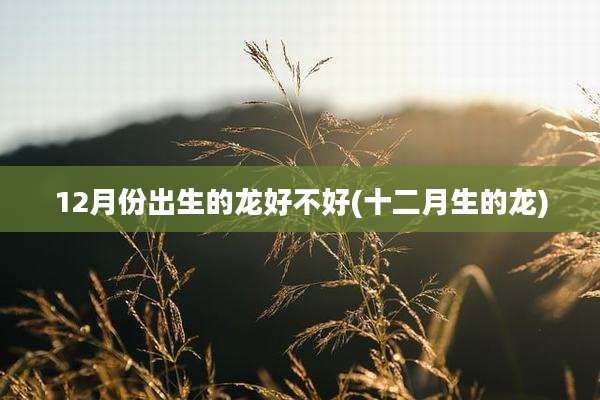 12月份出生的龙好不好(十二月生的龙)