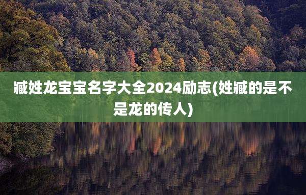 臧姓龙宝宝名字大全2024励志(姓臧的是不是龙的传人)