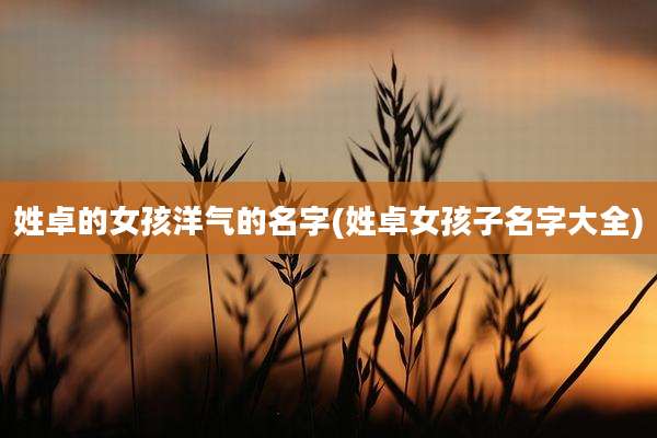 姓卓的女孩洋气的名字(姓卓女孩子名字大全)