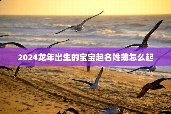 2024龙年出生的宝宝起名姓薄怎么起