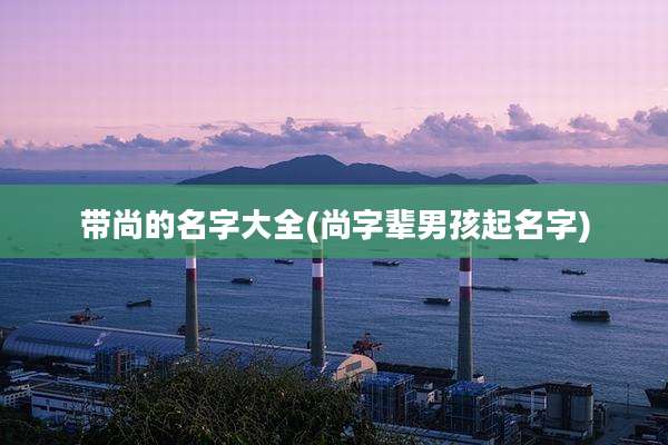 带尚的名字大全(尚字辈男孩起名字)