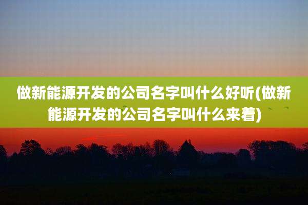 做新能源开发的公司名字叫什么好听(做新能源开发的公司名字叫什么来着)