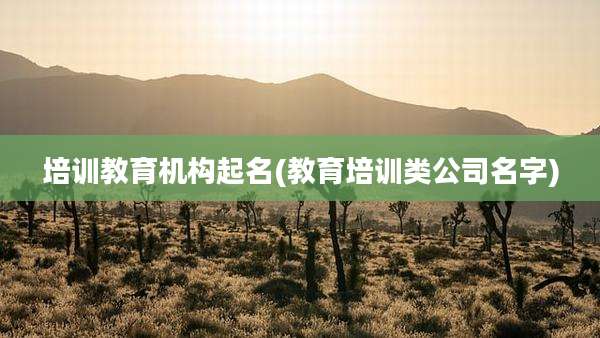 培训教育机构起名(教育培训类公司名字)