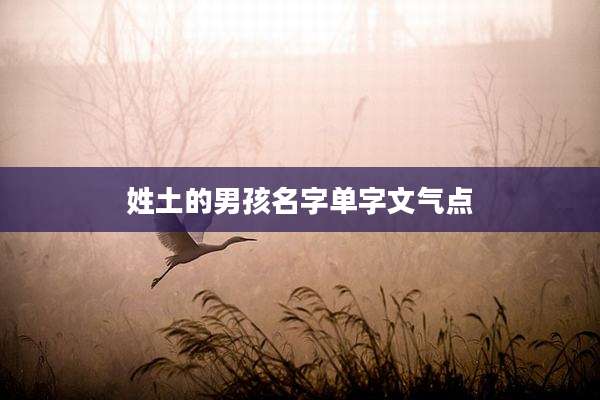 姓土的男孩名字单字文气点